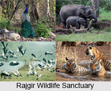 Rajgir Wildlife Sanctuary, Nalanda District, Bihar