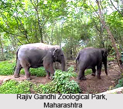 Zoos of Western India