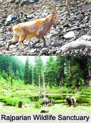 Rajparian Wildlife Sanctuary, Anantnag District, Jammu and Kashmir