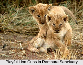 Rampara Wildlife Sanctuary, Rajkot, Gujarat