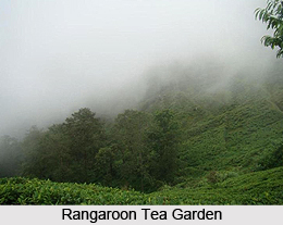 Rangaroon, Darjeeling, West Bengal