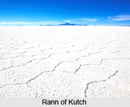 Rann of Kutch Seasonal Salt Marsh in India