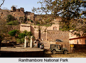 Ranthambore National Park, Rajasthan