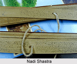 Reading in Nadi Shastra