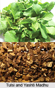 Respiratory Diseases cured by Tulsi