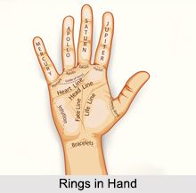 Rings in Hand, Palmistry