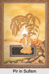 Role of Pir in Sufism, Principles of Sufism