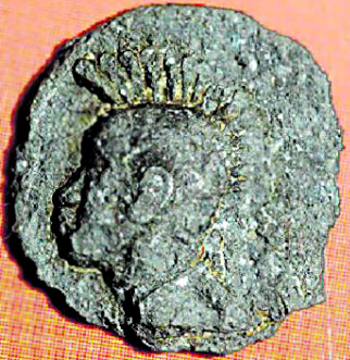 Roman coin