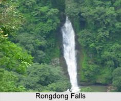 Rongdong Falls, Garo Hills, Meghalaya