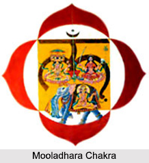 Root Chakra