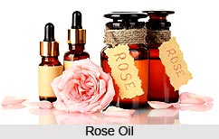 Rose Oil