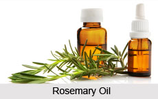 Rosemary Oil