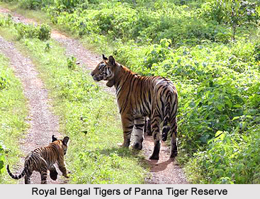 Tourism of Panna District, Madhya Pradesh