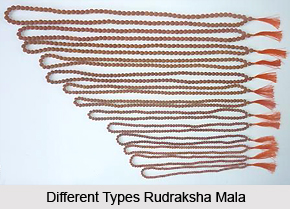 Rudraksha for Health and Self Empowerment