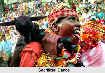 Culture of Darrang District