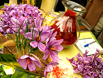 Saffron