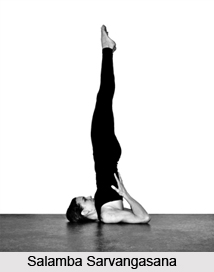 Salamba Sarvangasana