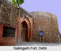 Salimgarh Fort