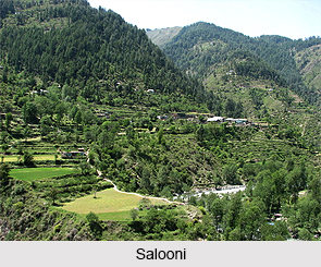Salooni, Chamba District, Himachal Pradesh