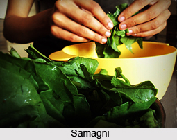 Samagni