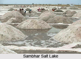 Sambhar Salt Lake, Jaipur