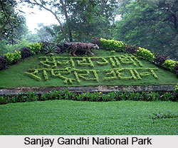 Sanjay Gandhi National Park