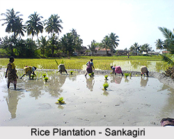 Sankagiri, Tamil Nadu
