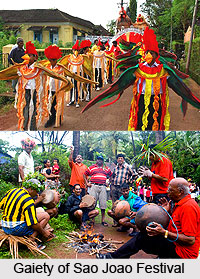 Sao Joao Festival, Goa