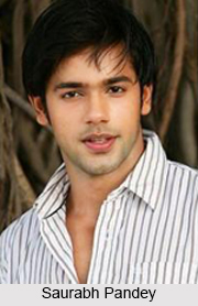 Saurabh Pandey, Indian TV Actor