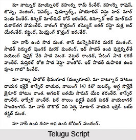 Scripts of South India