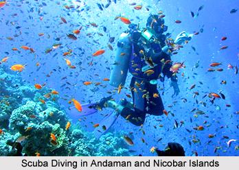 Andaman and Nicobar Islands Tourism