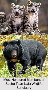 Sechu Tuan Nala Wildlife Sanctuary, Chamba District, Himachal Pradesh