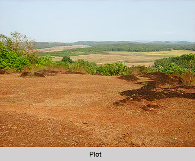 Selection of  Plot ,Vastu Shastra