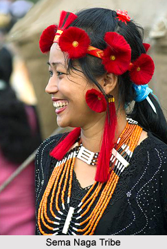 Sema Naga Tribe, Tinsukia District