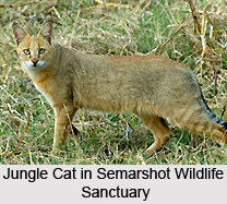 Semarshot Wildlife Sanctuary