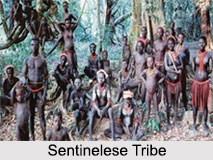 Sentinelese Tribe, Andaman and Nicobar, Indian Tribal People