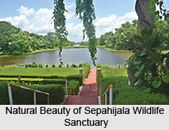 Sepahijala Wildlife Sanctuary, Tripura