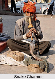 Sepalas, Types of Gorakhnath Yogis