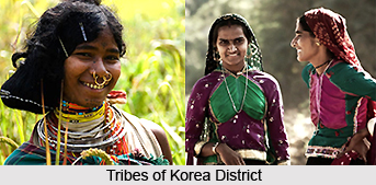 Settlements in Korea District