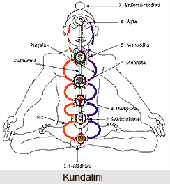 Seven Body Approach to Growth in Kundalini