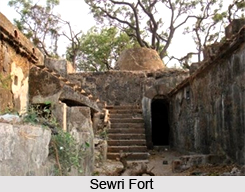 Sewri Fort, Monument of Maharashtra