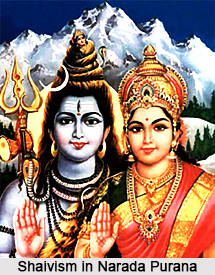 Shaivism in Narada Purana