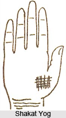 Shakat Yog , Palmistry