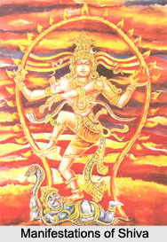 Shakta Sect