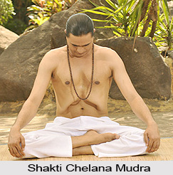 Shakti Chelana Mudra