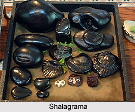 Shalagrama, Garuda Purana