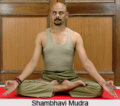 Sambhavi Mudra