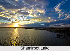 Shamirpet