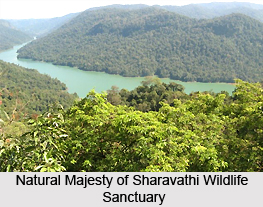 Sharavathi Wildlife Sanctuary, Shimoga District, Karnataka