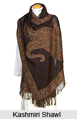 Shawls of Kashmir